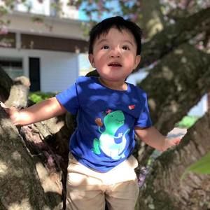 Meet your Posher, Wendy